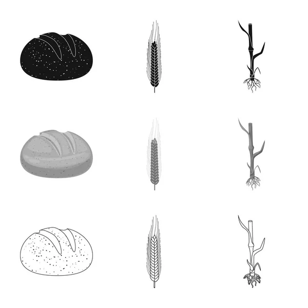 Oggetto isolato del logo agricolo e agricolo. Serie di illustrazione vettoriale dell'agricoltura e dello stock vegetale . — Vettoriale Stock