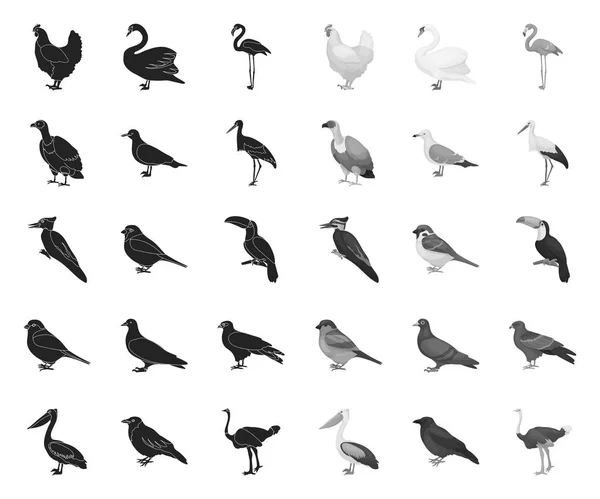 Tipos de aves black.mono iconos en la colección de conjuntos para el diseño. Inicio y aves silvestres vector símbolo stock web ilustración . — Vector de stock