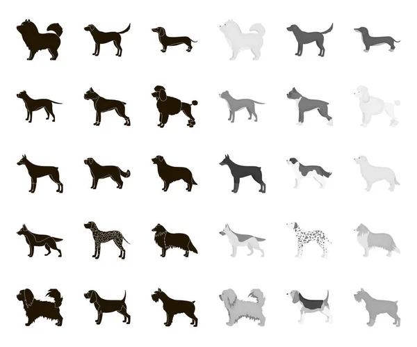 Dog breeds black.mono icons in set collection for design.Dog pet vector symbol stock web illustration. — Stock Vector