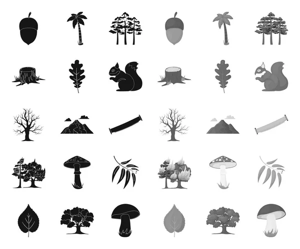 Forest and nature black.mono icons in set collection for design. Forest life vector symbol stock web illustration. — Stock Vector