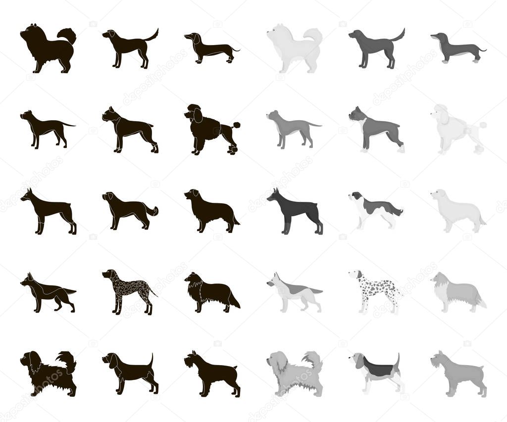 Dog breeds black.mono icons in set collection for design.Dog pet vector symbol stock  illustration.