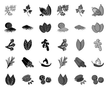 Herb ve baharat siyah. mono simgeler set koleksiyonunda tasarım için. Çeşeillikler vektör sembol stok Web illüstrasyon farklı tür.