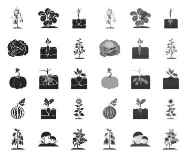 Bitki, bitkisel siyah. mono simgeler tasarım için set koleksiyonunda. Bahçe ve hasat vektör sembol stok Web illüstrasyon.