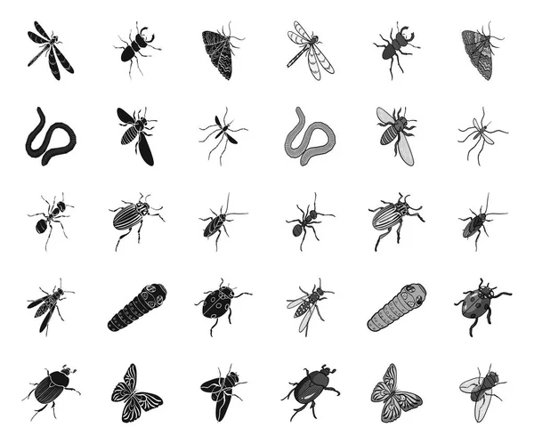 Diferentes tipos de insetos ícones black.mono na coleção de conjuntos para design. Inseto artrópode vetor isométrico símbolo estoque web ilustração . — Vetor de Stock