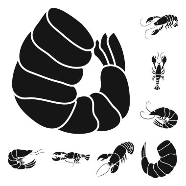 Et ve incelik simge vektör tasarımı. Et ayarla ve web için hisse senedi simgesi Yengeç.