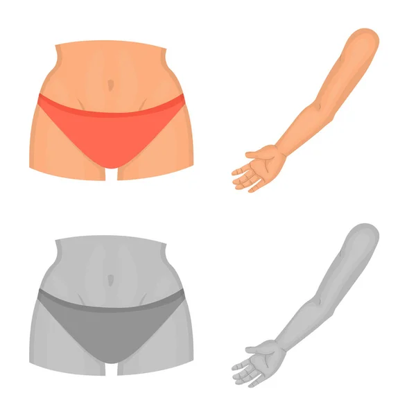 Vector illustratie van lichaam en deel van de teken. Set van lichaam en anatomie voorraad vectorillustratie. — Stockvector