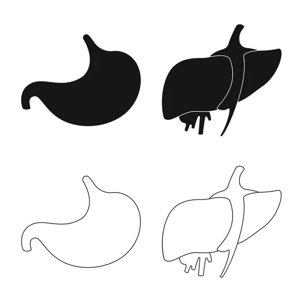 Objeto isolado de biologia e signo científico. Conjunto de símbolos de estoque de biologia e laboratório para web . — Vetor de Stock