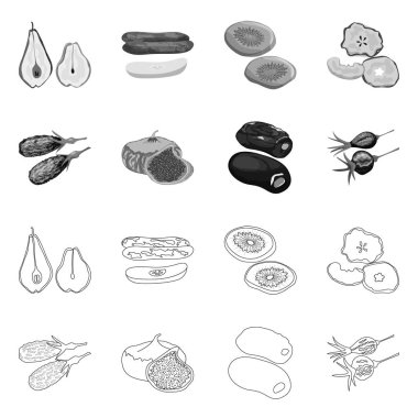 Gıda ve ham logo vektör tasarımı. Gıda ve doğa hisse senedi vektör çizim topluluğu.