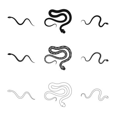 Mammal ve tehlike işareti vektör tasarımı. Memeli ve tıp hisse senedi simgesi için web topluluğu.