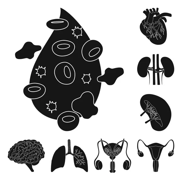 Diseño vectorial del icono de investigación y laboratorio. Colección de investigación e ilustración del vector de stock de órganos . — Vector de stock