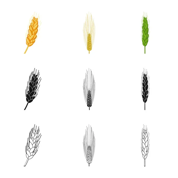 Design vettoriale dell'agricoltura e simbolo dell'agricoltura. Serie di illustrazione vettoriale dell'agricoltura e dello stock vegetale . — Vettoriale Stock