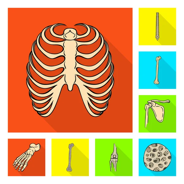 뼈와 해골 표시의 고립 된 개체입니다. 뼈 및 웹에 대 한 인간의 주식 기호 집합. — 스톡 벡터