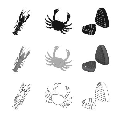 Taze ve Restoran simge vektör tasarımı. Taze ve deniz hisse senedi vektör çizim topluluğu.