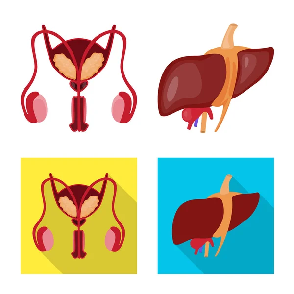 Illustrazione vettoriale di biologia e logo scientifico. Raccolta di biologia e illustrazione vettoriale di laboratorio . — Vettoriale Stock