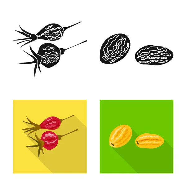 Diseño vectorial de alimentos y logotipo crudo. Conjunto de comida y naturaleza símbolo de stock para web . — Vector de stock