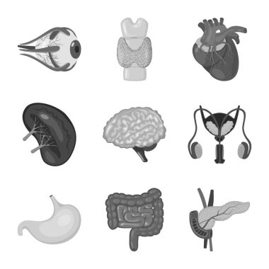 İç ve tıbbi işareti vektör tasarımı. İç kümesi ve hisse senedi için sağlık vektör simgesi.