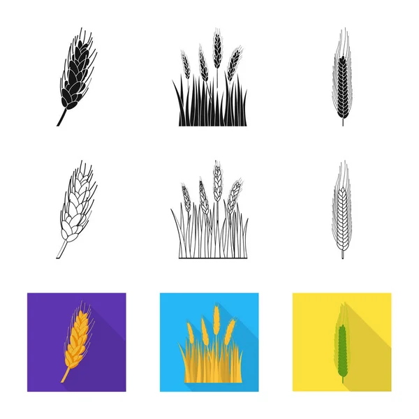 Векторное проектирование сельскохозяйственного и сельскохозяйственного знака. Коллекция векторной иконки для сельского хозяйства и растений . — стоковый вектор