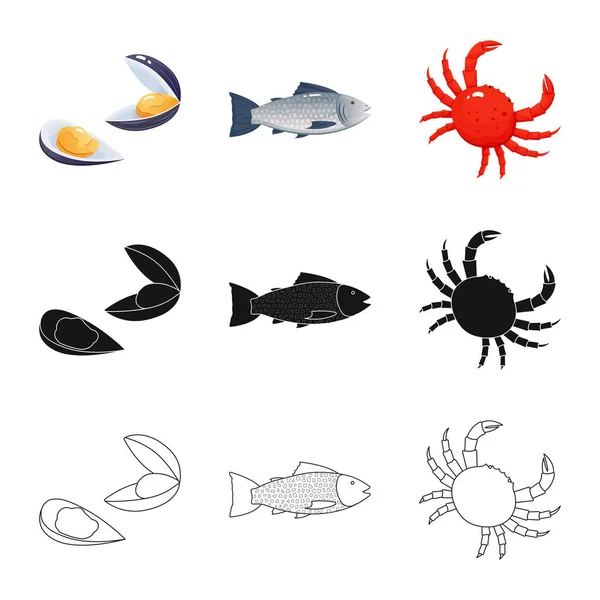 Векторная иллюстрация свежего логотипа ресторана. Коллекция свежих и морских символов запасов для интернета . — стоковый вектор