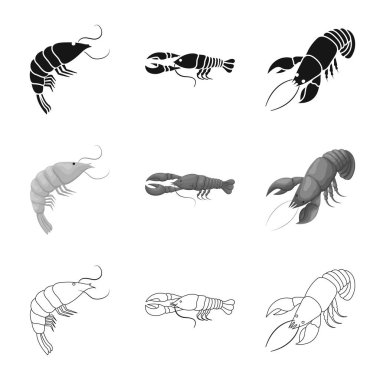 Meze ve okyanus simge vektör tasarımı. Meze dizi ve hisse senedi için incelik vektör simgesi.