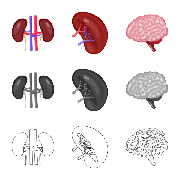 Ilustración vectorial de la biología y símbolo científico. Conjunto de biología e ilustración del vector de stock de laboratorio . — Archivo Imágenes Vectoriales