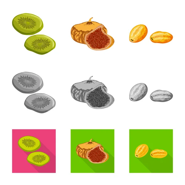 Diseño vectorial de alimentos y símbolo crudo. Colección de comida y naturaleza símbolo de stock para la web . — Vector de stock