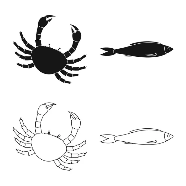 Ilustración vectorial del logotipo fresco y del restaurante. Conjunto de ilustración de vector de stock fresco y marino . — Vector de stock