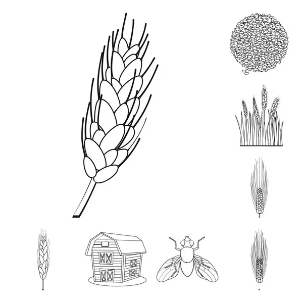 Изолированный объект сельского хозяйства и икона земледелия. Набор векторных иллюстраций для сельского хозяйства и растительного фонда . — стоковый вектор