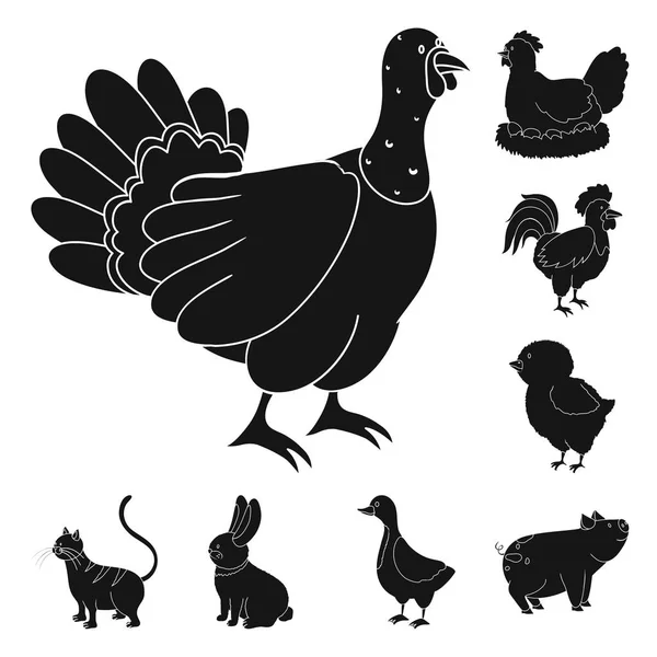 Illustrazione vettoriale del ranch e simbolo biologico. Set di icone del ranch e del vettore alimentare per le scorte . — Vettoriale Stock