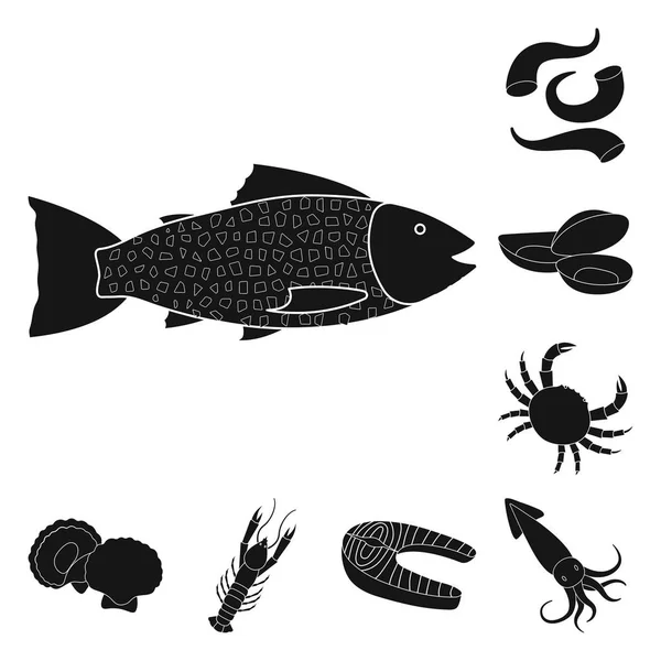 Векторная иллюстрация рыночного и морского логотипа. Коллекция векторных иллюстраций рынка и моря . — стоковый вектор