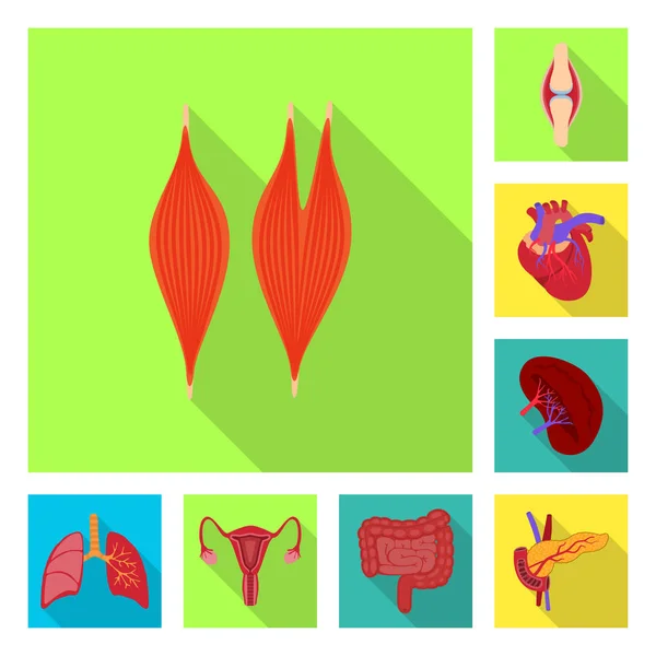 Desenho vetorial do símbolo humano e de saúde. Conjunto de símbolos de estoque humano e científico para web . — Vetor de Stock