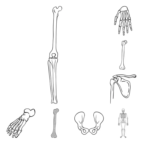 Ilustração vetorial da medicina e do signo clínico. Conjunto de medicina e ilustração do vetor de estoque médico . — Vetor de Stock