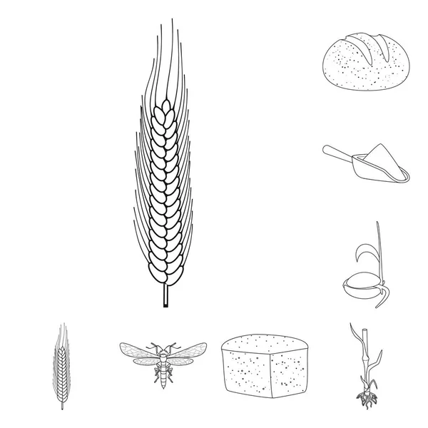 Векторное проектирование сельскохозяйственного и сельскохозяйственного знака. Набор символов сельского хозяйства и растительного фонда для паутины . — стоковый вектор