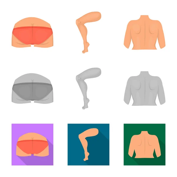 Vectorillustratie van lichaam en deel symbool. Set van lichaam en anatomie aandelensymbool voor web. — Stockvector