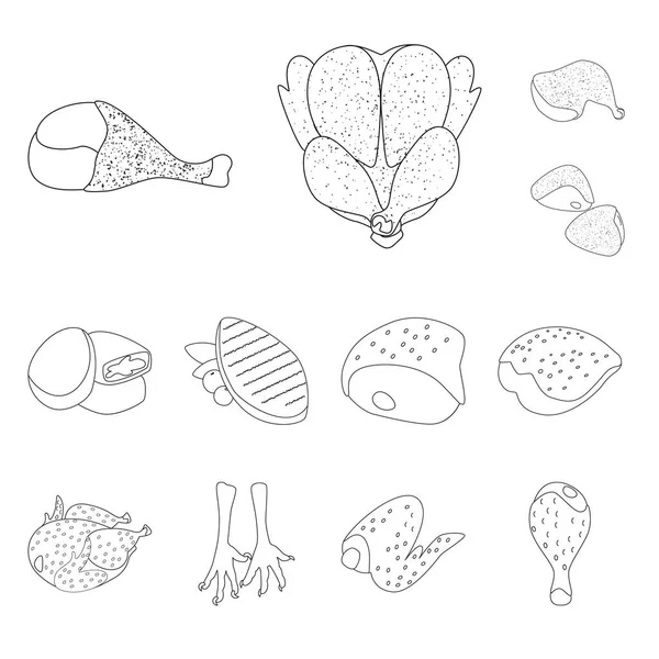 食品和烧烤符号的矢量设计。一套食物和鸟类库存矢量图. — 图库矢量图片