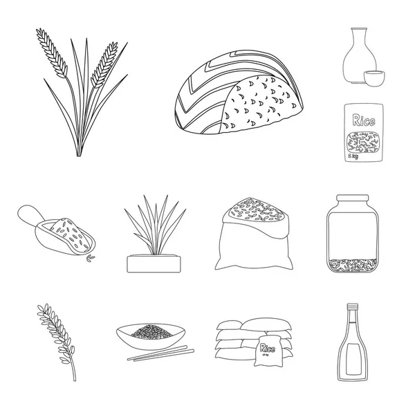 Conception vectorielle du régime alimentaire et symbole de cuisson. Collecte de l'alimentation et du symbole de stock biologique pour la toile . — Image vectorielle