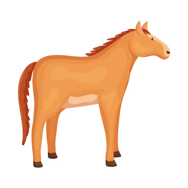 Ilustración vectorial de caballo y signo animal. Colección de caballo y crianza icono de vector para stock . — Vector de stock