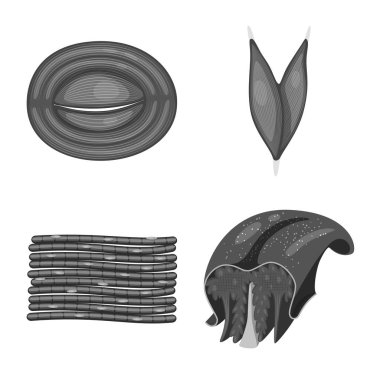 İnsan izole nesne ve vücut logosu. Hücreleri hisse senedi vektör çizim ve insan topluluğu.