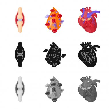 Biyoloji ve bilimsel simge yalıtılmış nesne. Web için biyoloji ve laboratuvar hisse senedi simgesi kümesi.