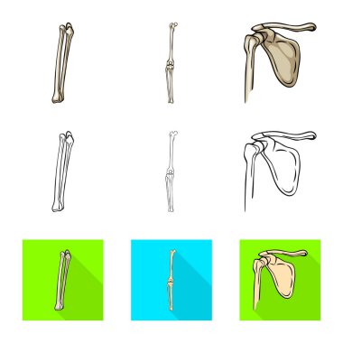 Tıp ve klinik simge vektör tasarımı. İlaç ve tıbbi vektör simgesini hissenin koleksiyonu.