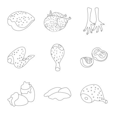 Gıda ve ızgara logo vektör illüstrasyon. Stok için yiyecek ve kuş vektör simgesi koleksiyonu.