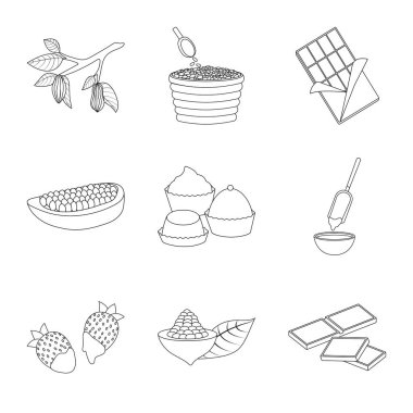 Kakao ve fasulye logosu yalıtılmış nesne. Kakao kümesi ve tatlılık vektör simge stok için.