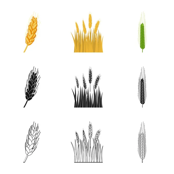 Векторная иллюстрация сельского хозяйства и логотипа сельского хозяйства. Набор символов сельского хозяйства и растительного фонда для паутины . — стоковый вектор