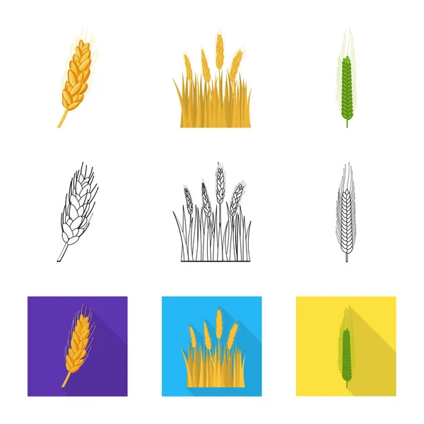 Objet isolé de l'agriculture et de l'agriculture icône. Ensemble d'icône vectorielle agricole et végétale pour le stock . — Image vectorielle