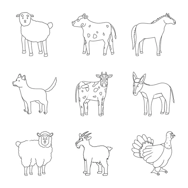 Vector design of homemade and countryside icon. Collection of homemade and agriculture stock vector illustration. — Stock Vector