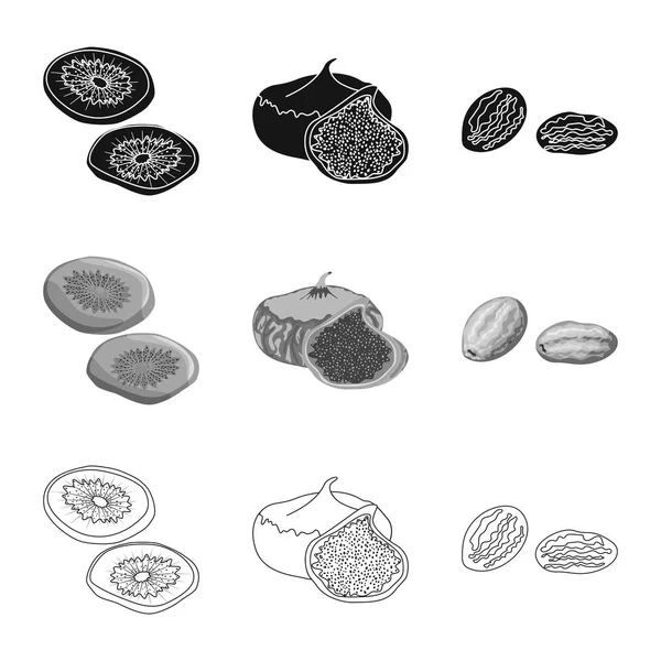 Векторный дизайн пищевой и сырой иконы. Набор векторных иллюстраций для пищевых продуктов и природных ресурсов . — стоковый вектор