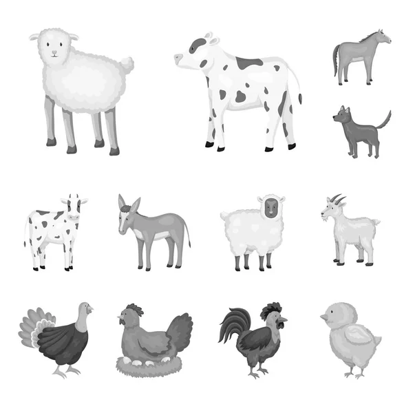 Progettazione vettoriale di fattoria e segno di agricoltura. Raccolta di illustrazione vettoriale della fattoria e della cucina . — Vettoriale Stock