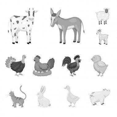 Çiftlik ve tarım simgesinin izole nesnesi. Stok için homestead ve mutfak vektör simgesi koleksiyonu.