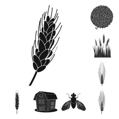 Çavdar ve bitki sembolü vektör Illustration. Stok için çavdar ve Mısır vektör simgesi seti.