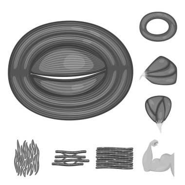 Vektör tasarımı insan ve vücut oturum açın. İnsan kümesi ve web için hücreleri hisse senedi simgesi.