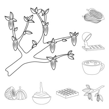 Kakao ve fasulye işareti izole nesne. Web için kakao ve tatlılık stok sembolü seti.